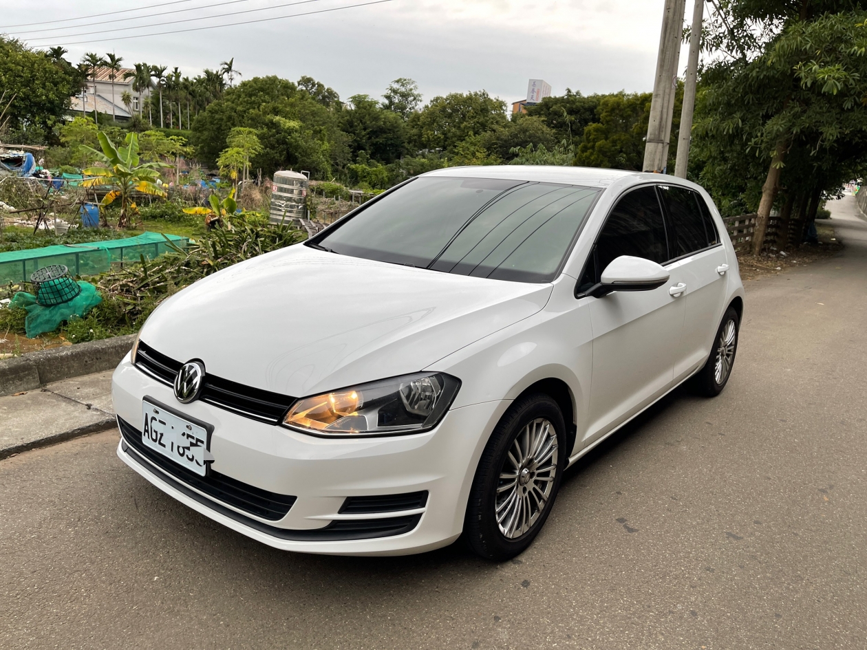 2013 GOLF